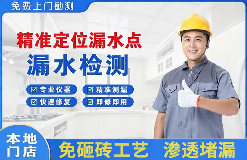 双阳精准测漏点